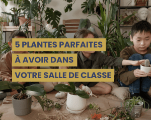 les plantes en classe